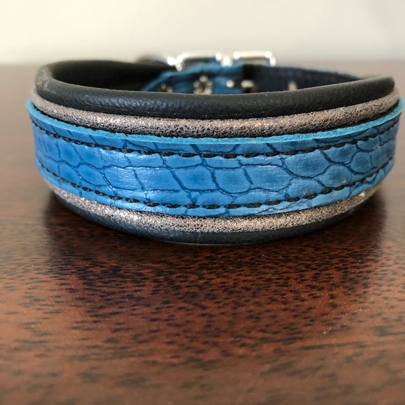 Leather padded dog collar - Picture 1 of 2